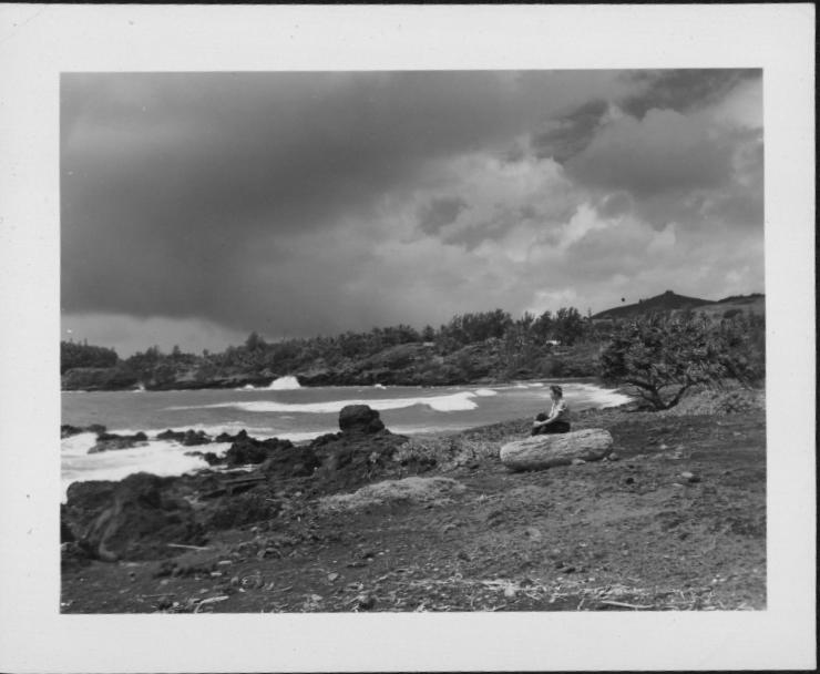 Browse Catalog - Digital Archives of Hawaiʻi