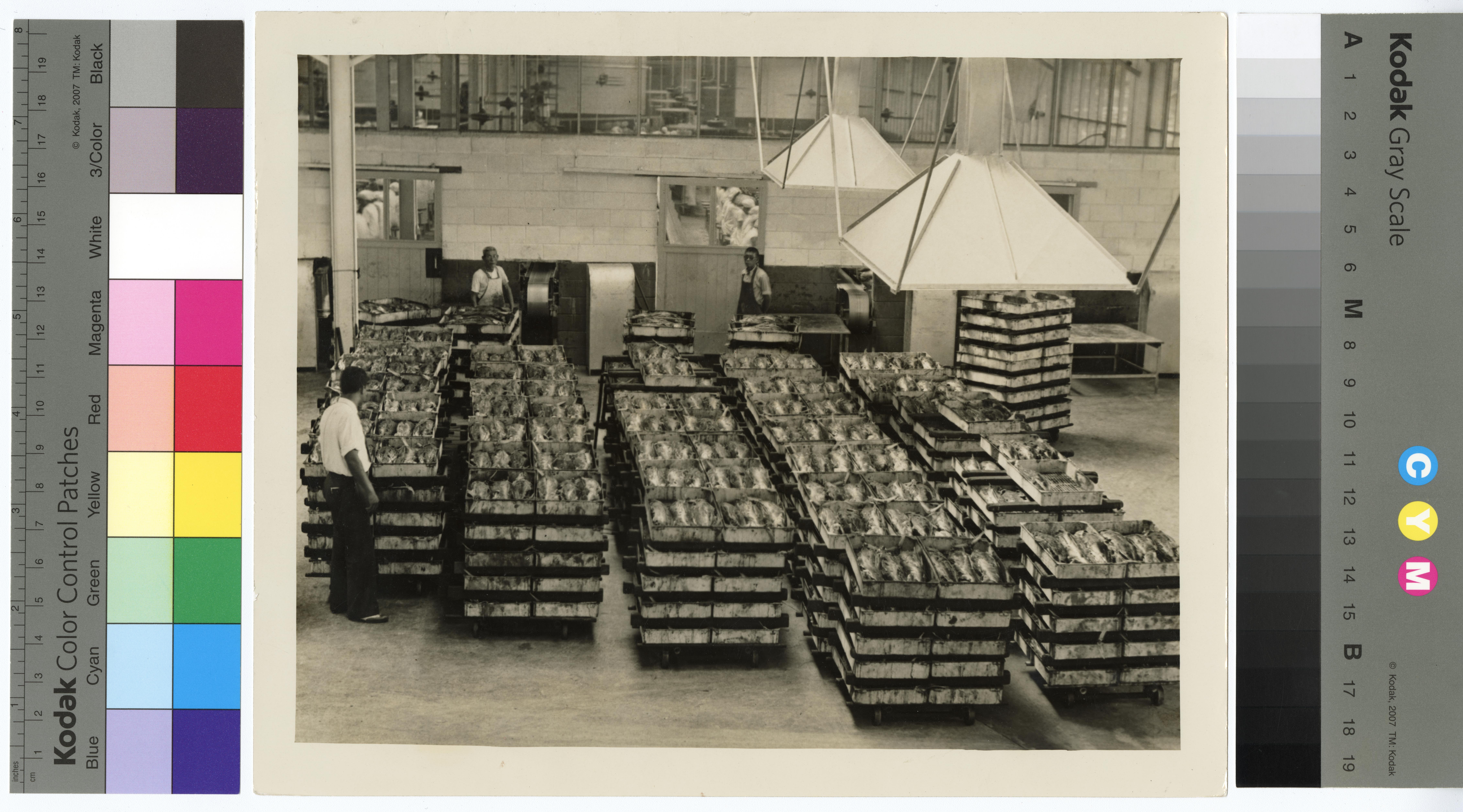 テレビ Back Packer Browse Catalog - Digital Archives of Hawaiʻi