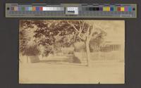 Preview thumbnail