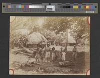 Browse Catalog - Digital Archives of Hawaiʻi