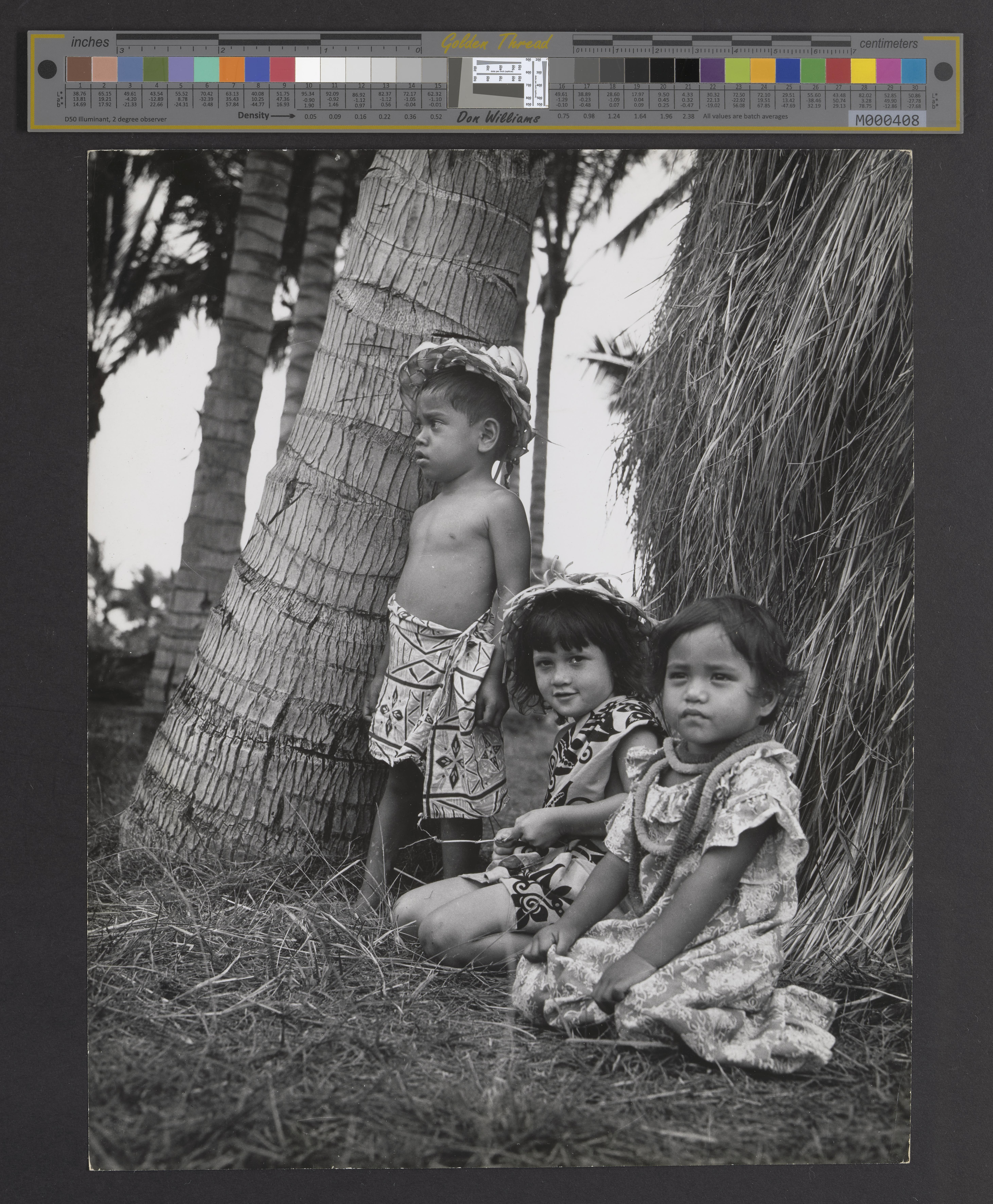 Browse Catalog - Digital Archives of Hawaiʻi