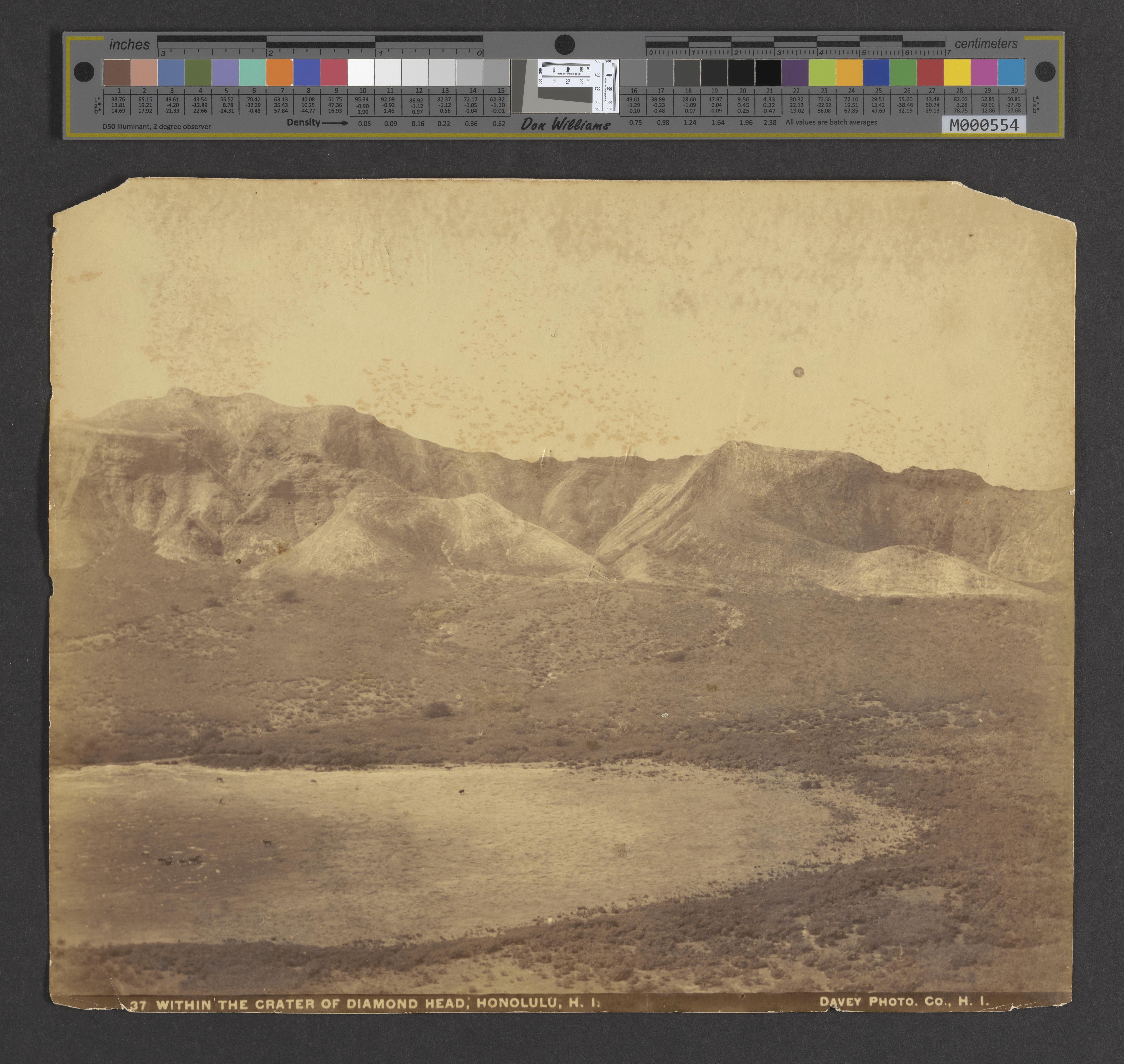Browse Catalog - Digital Archives of Hawaiʻi