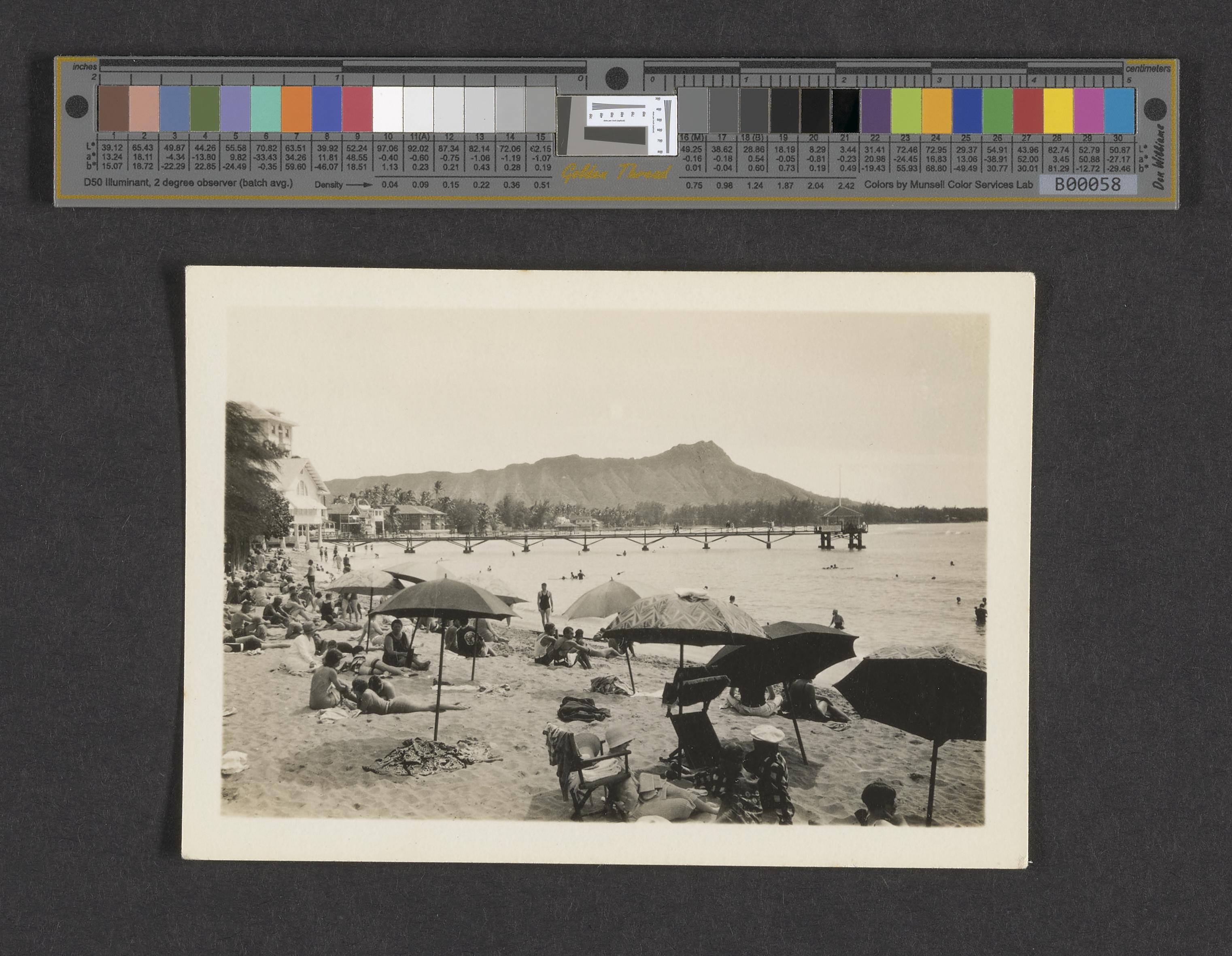 Browse Catalog - Digital Archives of Hawaiʻi