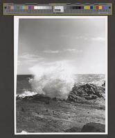 Browse Catalog - Digital Archives of Hawaiʻi