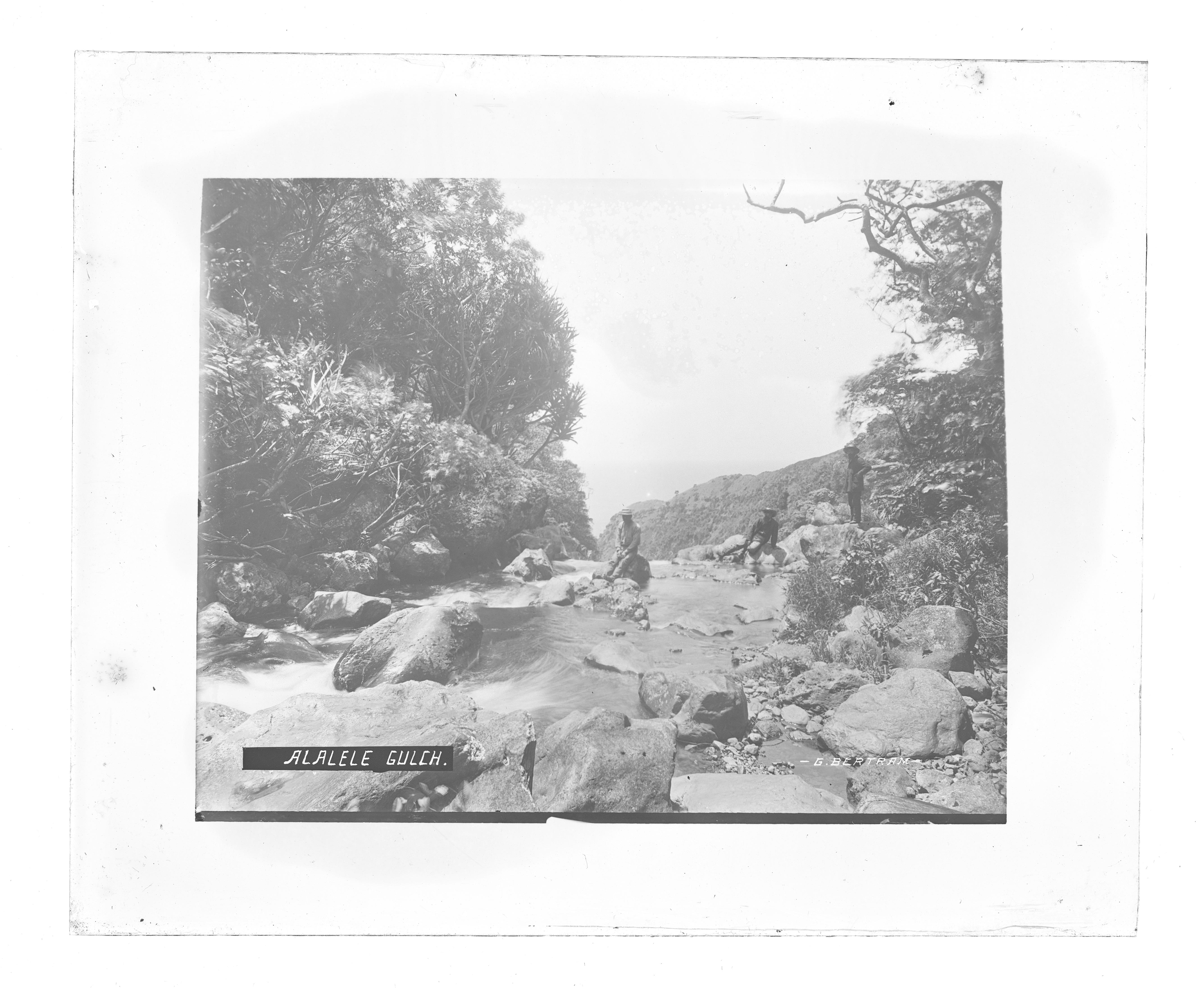 Browse Catalog - Digital Archives of Hawaiʻi