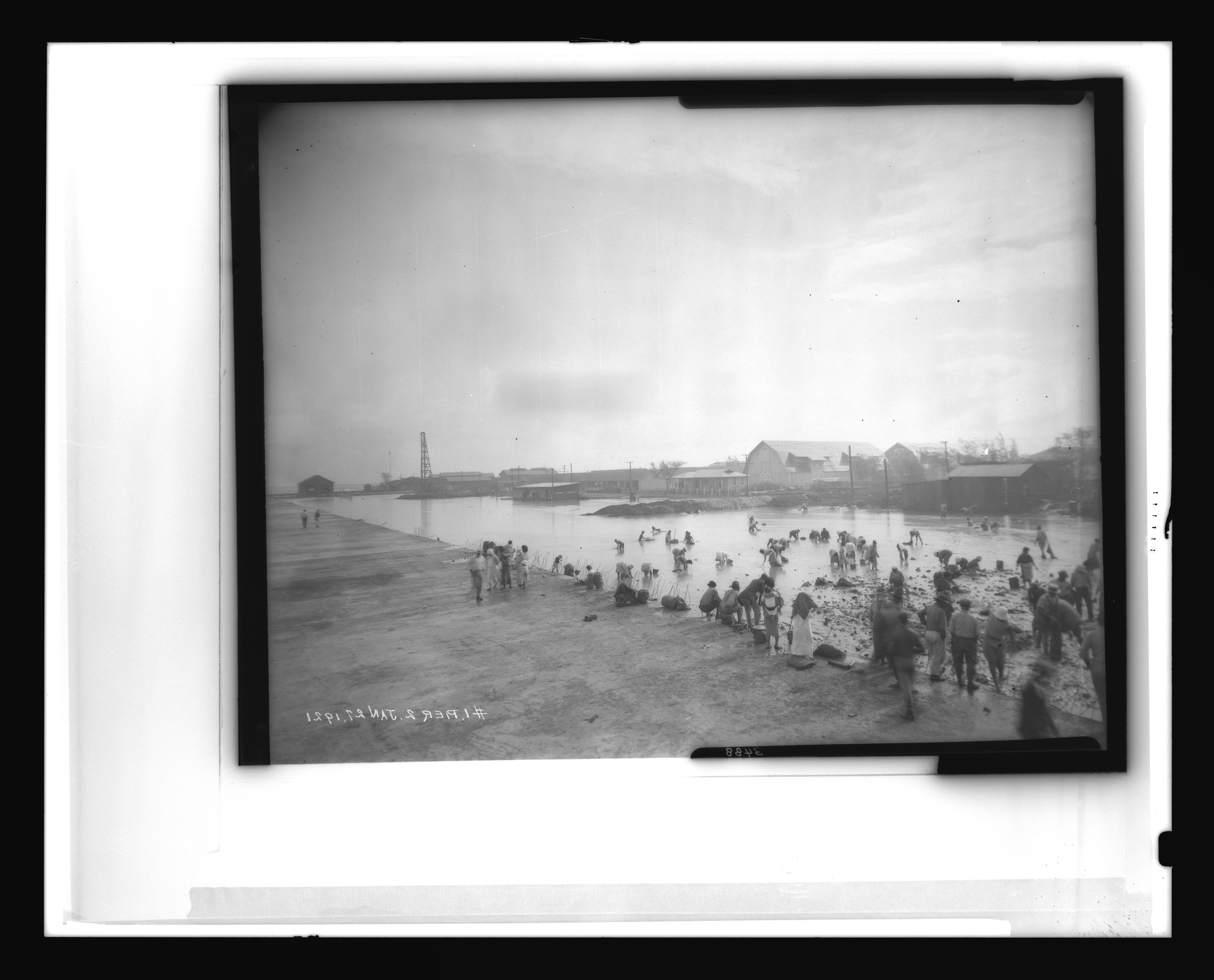 Browse Catalog - Digital Archives of Hawaiʻi