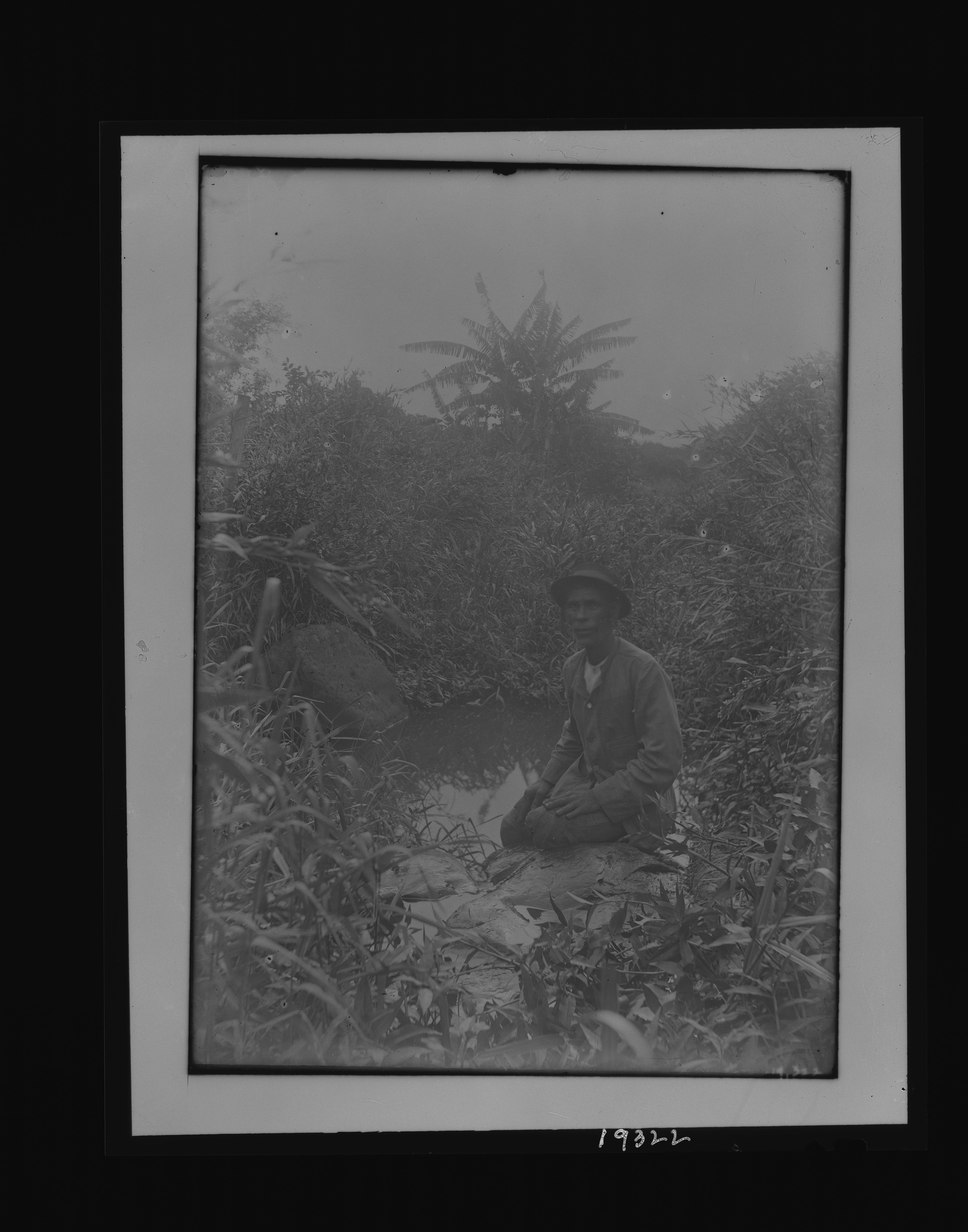 Browse Catalog - Digital Archives of Hawaiʻi