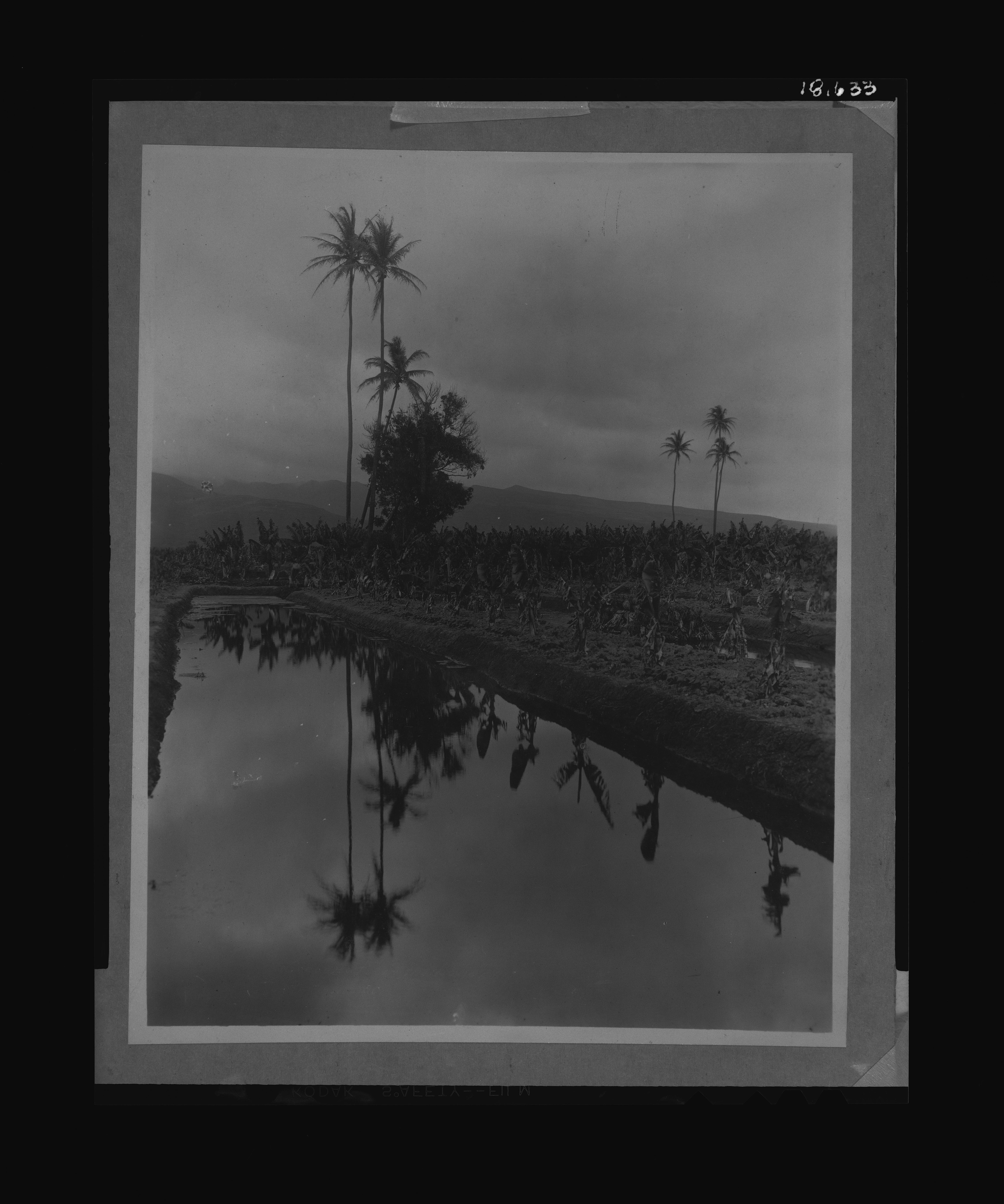 Browse Catalog - Digital Archives of Hawaiʻi