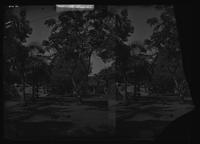 Preview thumbnail